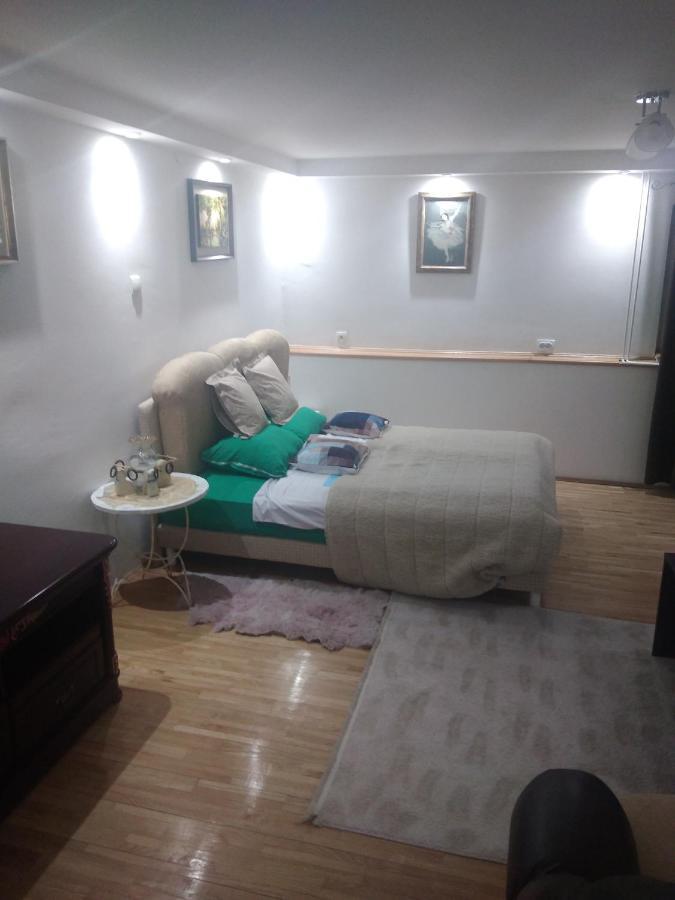 Goksi Apartment Subotica Eksteriør billede